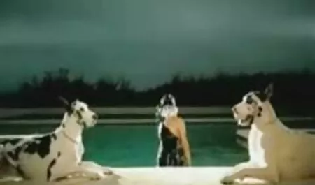Două fete care fac sex pe bani asistente domina un om