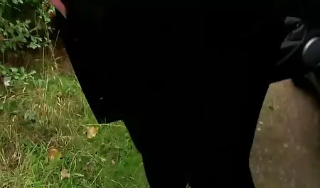 Bărbați rotunzi cupluri fete care se fut in baie și membri dracului